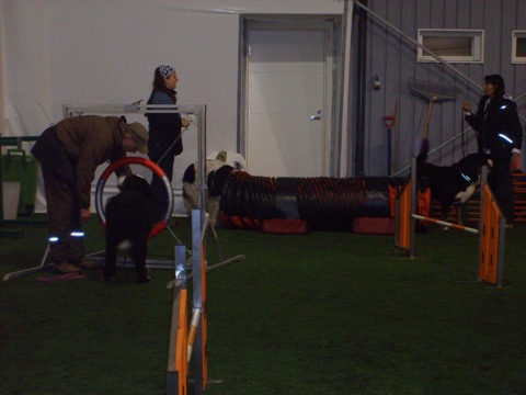 Agility1