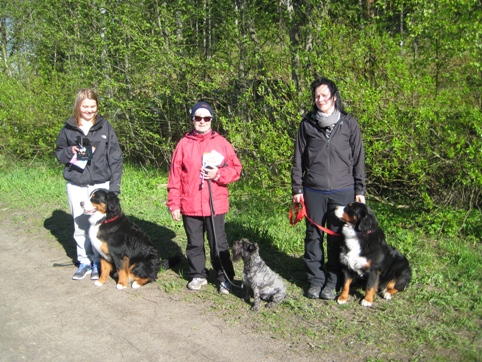 Rallymöllin alokasluokka