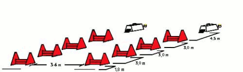 flyball