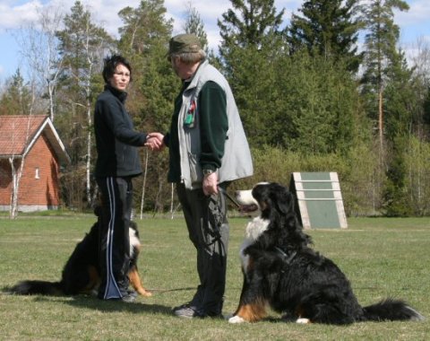 Kättely