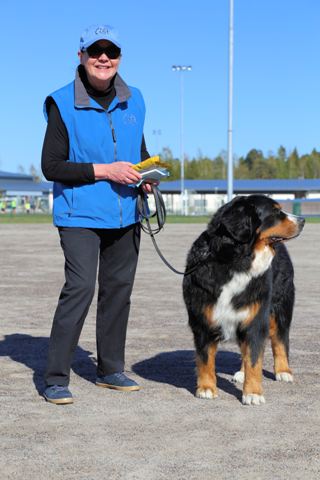 Möllitokon erikoisvoittajaluokka